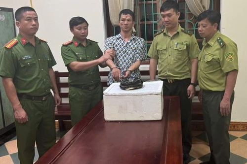 Mua rắn hổ chúa để sử dụng, người đàn ông bị khởi tố