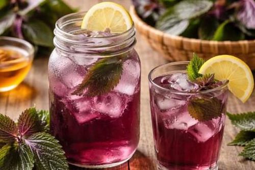 4 nhóm người không nên uống nước lá tía tô hàng ngày