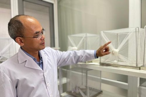 Chuyên gia cảnh báo nguy cơ dịch bệnh do muỗi truyền, người dân không được chủ quan