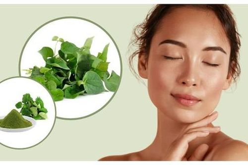 Rau má có hỗ trợ trị mụn trứng cá không?