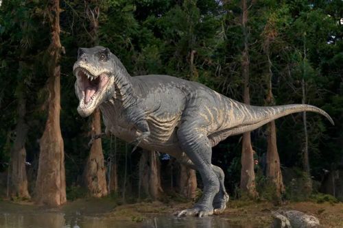 Vì sao khủng long T-rex có cánh tay nhỏ xíu dù là loài săn mồi khổng lồ?