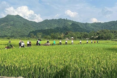 Từ du lịch cộng đồng đến quản trị cộng đồng ở Tuyên Quang
