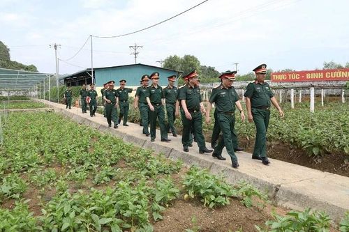 Nâng cao hiệu quả tăng gia sản xuất, chế biến trong Quân đội