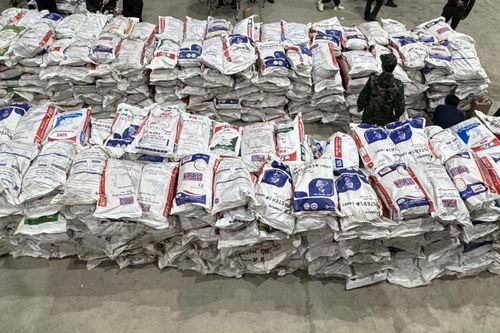 Trưởng khoa Dược - Bệnh viện Y học cổ truyền cầm đầu đường dây buôn lậu 50 tấn caffeine