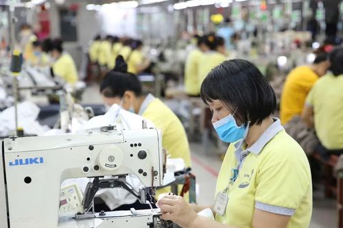 Chậm minh bạch dữ liệu carbon, doanh nghiệp Việt dễ mất lợi thế tại EU