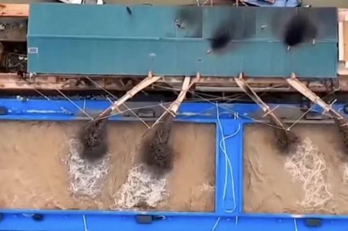 Người dân nơm nớp lo sông Hồng 'nuốt chửng' ruộng vườn