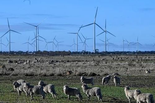 Australia sắp có trang trại điện gió lớn nhất Nam bán cầu