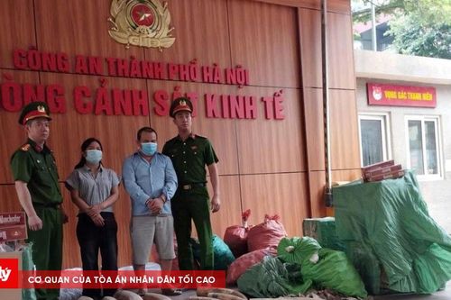 Khởi tố nhóm đối tượng buôn bán ngà voi và hàng cấm