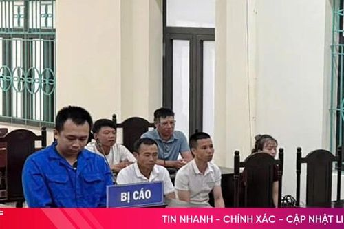 Lừa đảo đưa người đi xuất khẩu lao động, lĩnh 8 năm tù