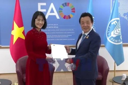 FAO luôn coi trọng Việt Nam là đối tác quan trọng trong khu vực