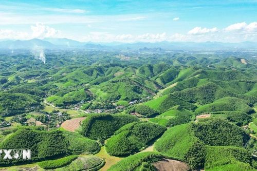 Giữ 'nguồn vốn xanh' cho tương lai: Việt Nam quyết bảo tồn đa dạng sinh học