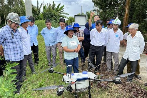 Ứng dụng số giúp nông dân làm giàu từ 'cánh đồng thông minh'