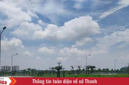 'Khoảng trống' màu xanh (Bài 1): Đô thị có 'khát xanh'?