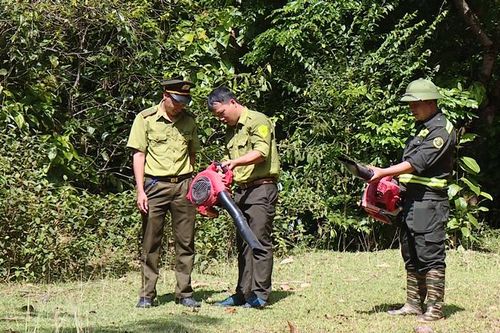 Thời tiết khô hanh, cảnh báo cháy rừng cấp cao