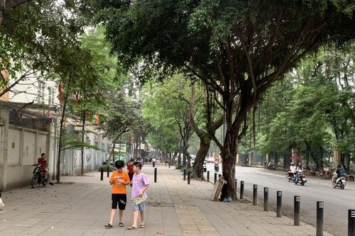 Kinh tế vỉa hè Hà Nội: Cần một cơ chế công bằng, nhân văn và an toàn xã hội