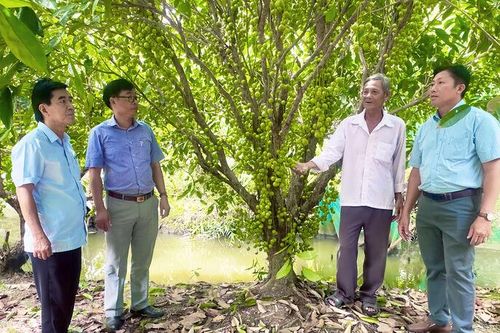 Du lịch vườn dâu tìm đường hồi sức