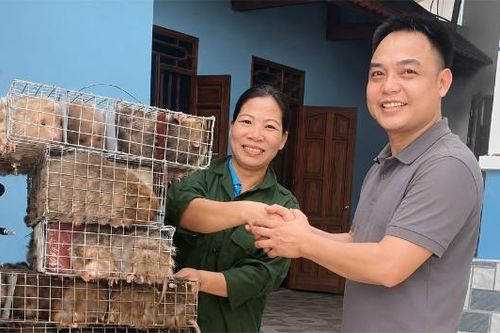 Nữ Bí thư Chi bộ năng động, dám nghĩ, dám làm