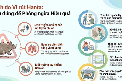 Chủ động giám sát, phòng chống bệnh do vi rút Hanta