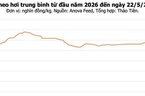 Giá heo hơi ngày 22/5: Thị trường ổn định, mức cao nhất đạt 70.000 đồng/kg