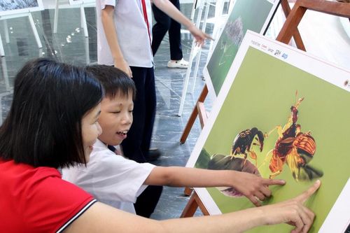 Phường Hải Châu tổ chức ngày hội Đa dạng sinh học