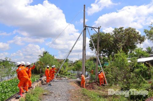 Diễn tập chủ động ứng phó thiên tai, đảm bảo vận hành lưới điện