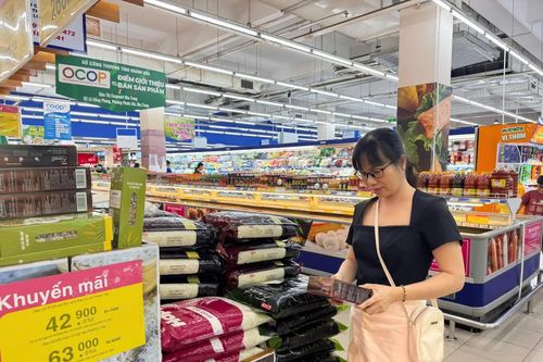 Triển khai Nghị quyết của Chính phủ về kích cầu tiêu dùng, phát triển thị trường trong nước