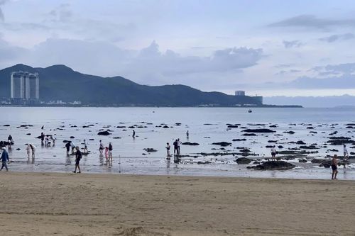 Xử lý nghiêm hành vi xâm hại hệ sinh thái rạn san hô