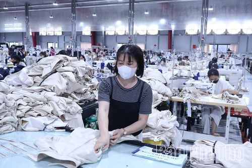 Xây dựng môi trường làm việc an toàn cho người lao động