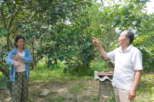 Bí thư chi bộ hết lòng với Nhân dân
