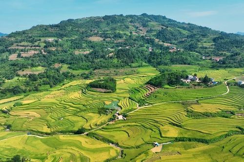 Quy chế hoạt động của BCĐ Trung ương Chương trình MTQG xây dựng nông thôn mới, giảm nghèo bền vững và phát triển KTXH vùng DTTS&MN