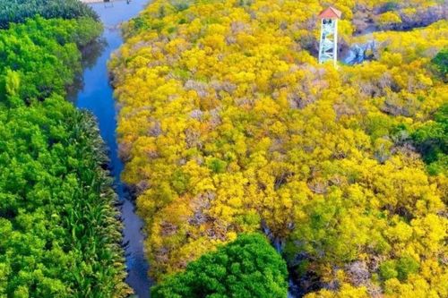 Huế tìm nguồn lực đầu tư phát triển hệ đầm phá nước lợ lớn nhất Đông Nam Á