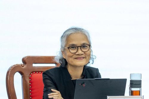 Sau tuyên bố ' VNDIRECT chưa bao giờ tự tin như hiện nay' của Chủ tịch Phạm Minh Hương, cổ phiếu VND phủ sắc tím