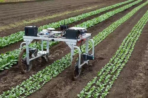 Nông sản Việt tìm 'cánh cửa vàng' nhờ công nghệ chế biến Nhật Bản