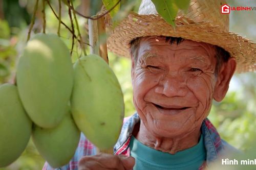 Da sáng, mắt khỏe nhờ biết cách ăn xoài
