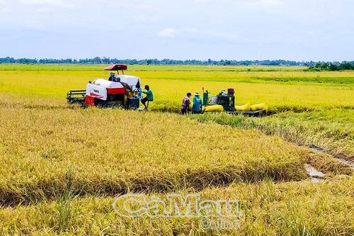 Hành trình của khát vọng đổi mới - Bài 4: Sức mạnh cộng hưởng sau hợp nhất