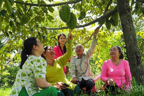 Người giữ đất rừng U Minh