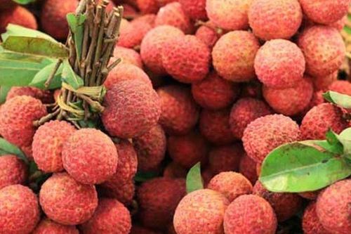 Điểm danh 4 nhóm thực phẩm là 'kẻ thù' của vải thiều