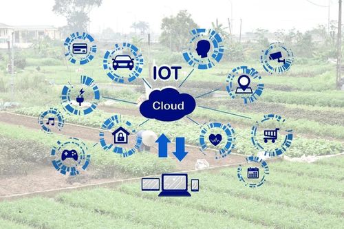 Đề xuất dùng AI, Big Data giám sát môi trường, khí hậu