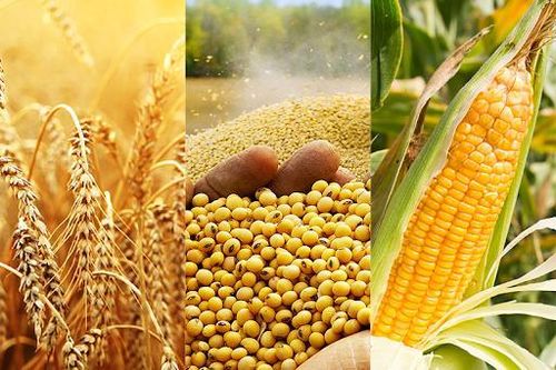 VCCI đề xuất tháo gỡ vướng mắc pháp lý và chi phí giao dịch phái sinh cho doanh nghiệp