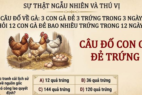 Câu đố '3 con gà đẻ 3 quả trứng trong 3 ngày' khiến 90% người lớn trả lời sai