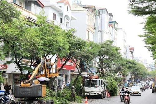 Thành phố Hà Nội: Chủ động các giải pháp nâng cao năng lực chống chịu của đô thị trước mùa mưa bão