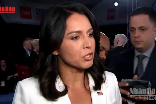 [Video] Giám đốc Tình báo Quốc gia Mỹ Tulsi Gabbard từ chức