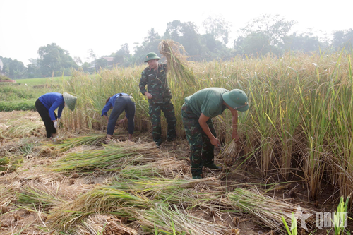 Dân vận khéo vun đắp 'thế trận lòng dân' vững chắc