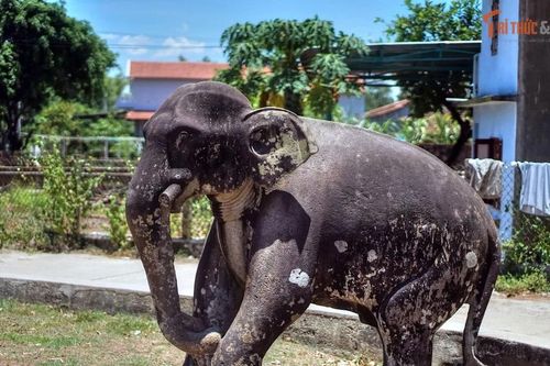 Cuộc chiến với Champa năm 1471 đã thay đổi lịch sử Việt Nam thế nào?