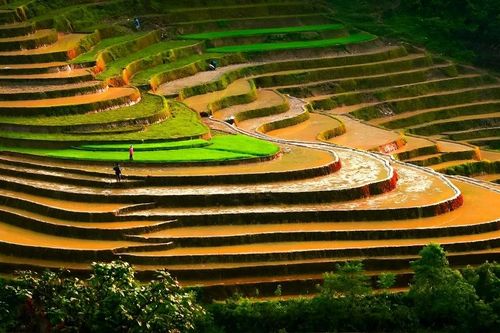 Ngắm ruộng bậc thang Tả Van mùa nước đổ