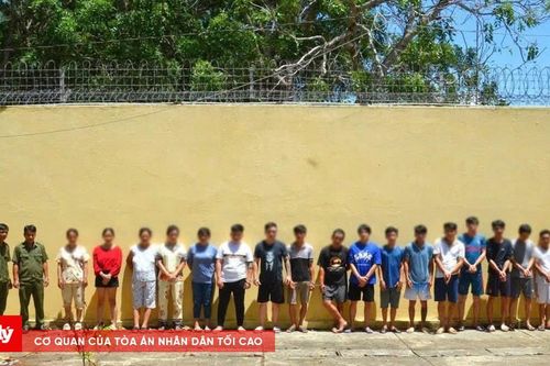 45 ngày đêm cao điểm, phát hiện 26 đối tượng liên quan ma túy