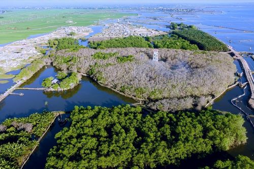 Huế: Đánh thức tiềm năng, hút vốn xanh vào vùng đầm phá Tam Giang - Cầu Hai