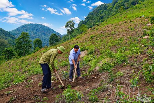 Gỡ 'nút thắt' thu nhập trong xây dựng nông thôn mới