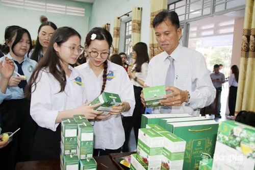 2 nội dung của Chương trình Phát triển tài sản trí tuệ