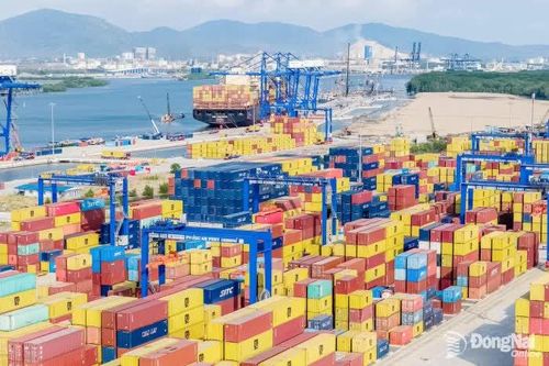 Kết nối hệ thống cảng, logistics đón vận hội mới